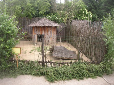 zoopark-zajezd-mala-rodinna-zoo-expozice-muntzaka-maleho
